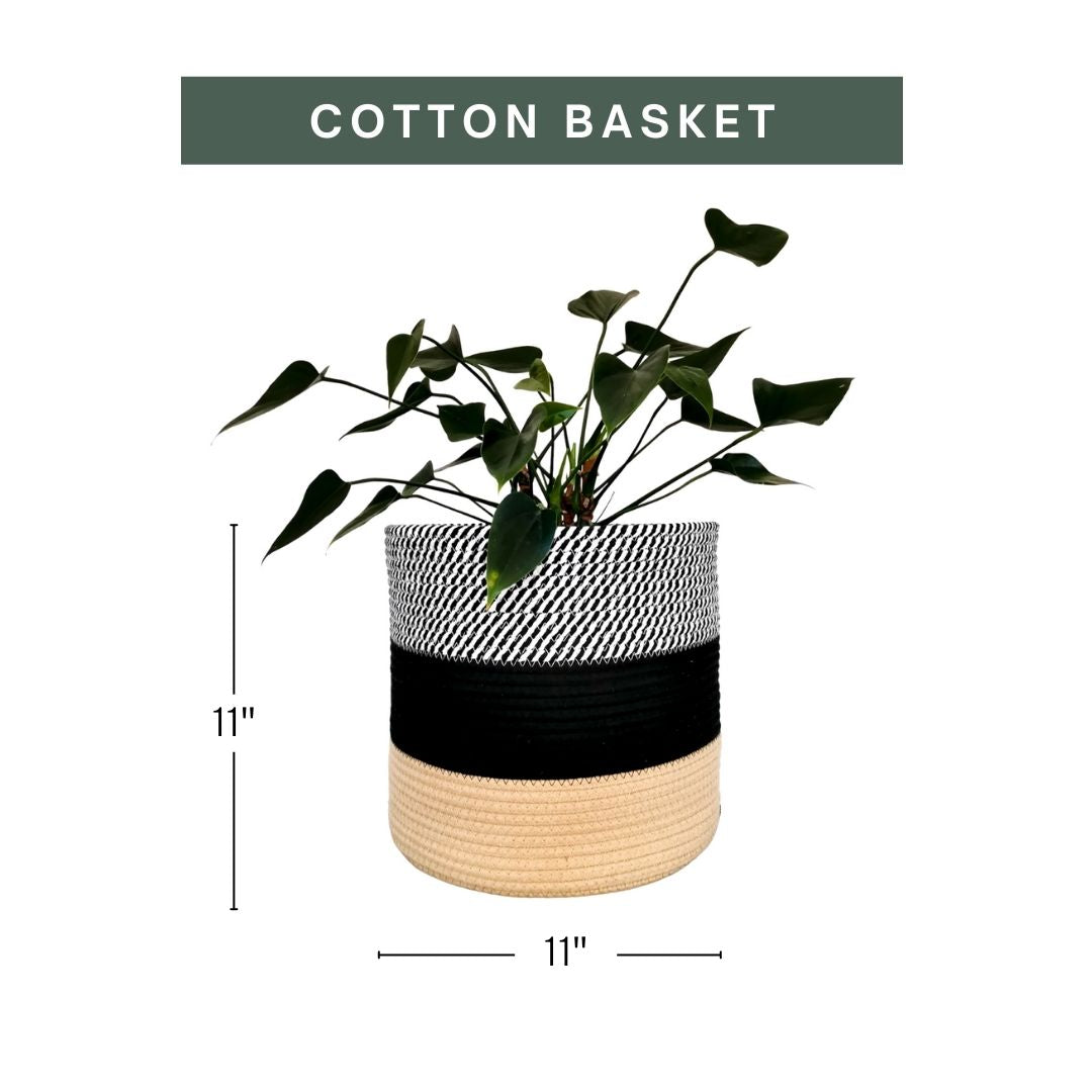 Jute, Black & White Cotton Basket Plant Pot
