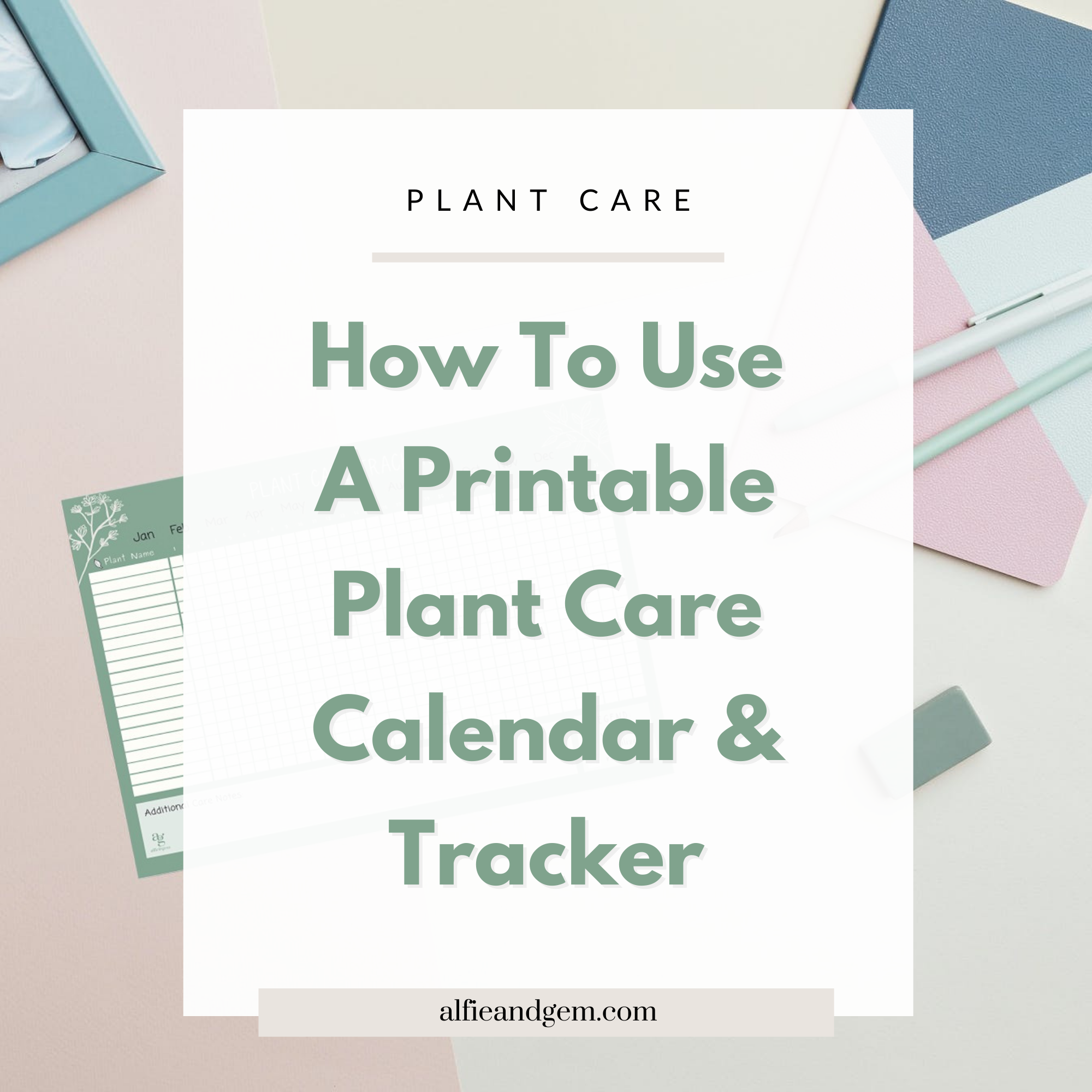 How to Use A Plant Care Calendar and Watering Tracker