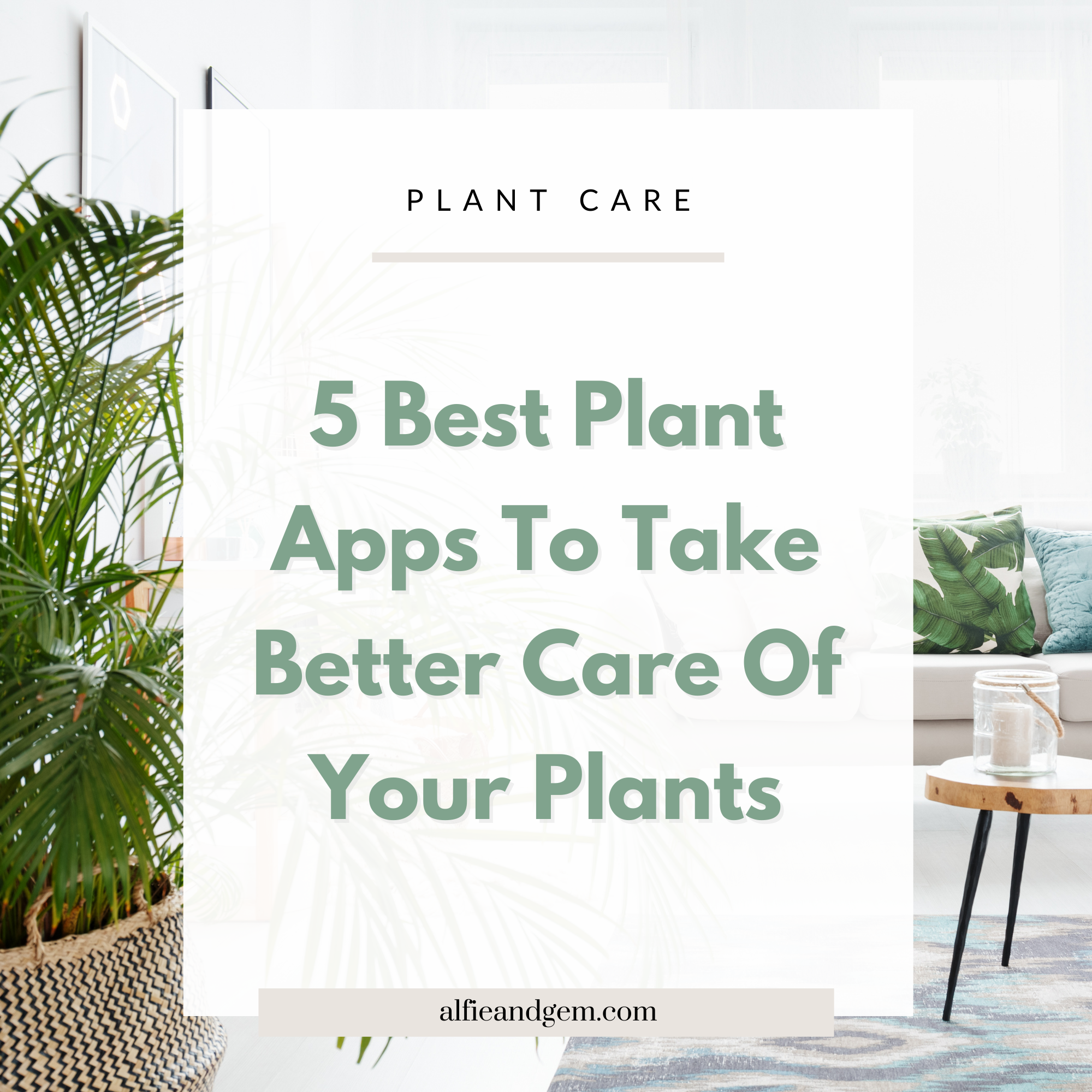 5 Houseplant Apps To Help You Take Care Of Your Indoor Plants