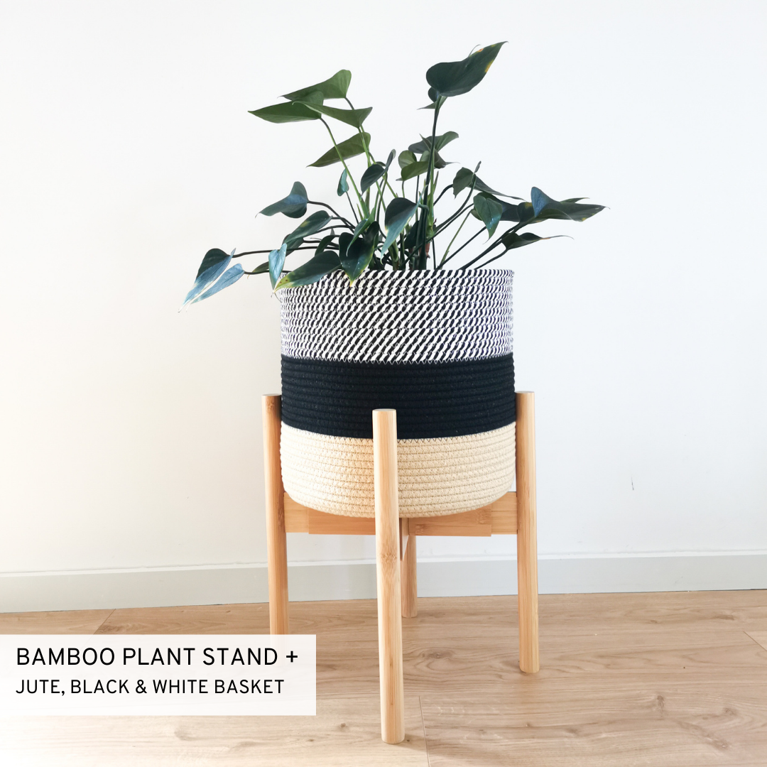 Indoor plant in a tri-colored black, white and beige cotton basket with light-colored plant stand