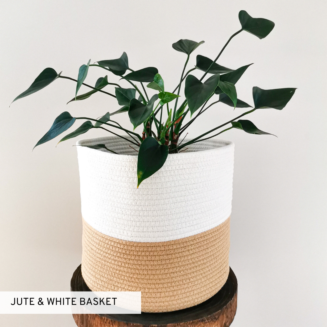 Jute, Black & White Cotton Basket Plant Pot