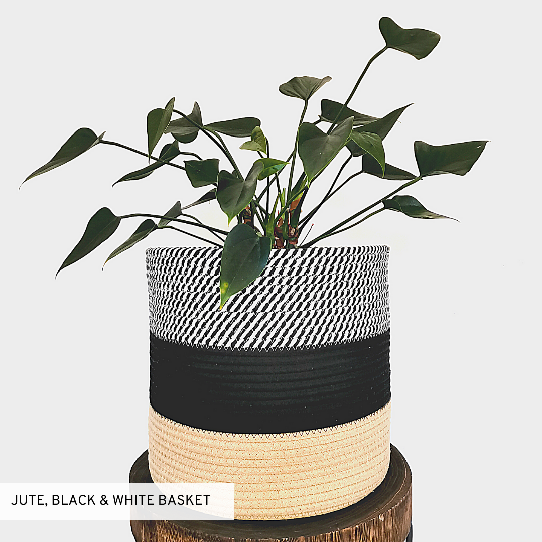 Black & White Striped Cotton Basket Plant Pot
