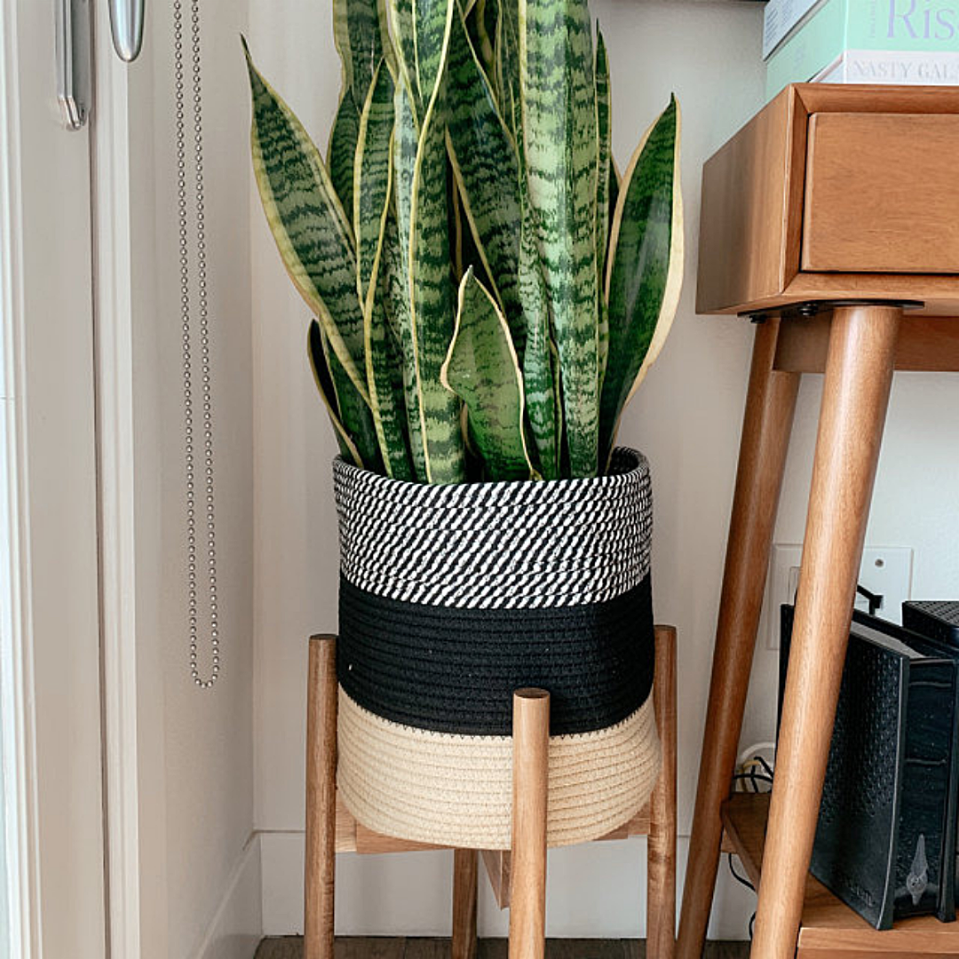 Wooden plant stand and cotton plant basket for indoor spaces such as home and office area.