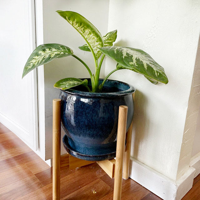 Made of high-quality bamboo wood, this mid-century modern plant stand will be a solid addition to your indoor plant decor.