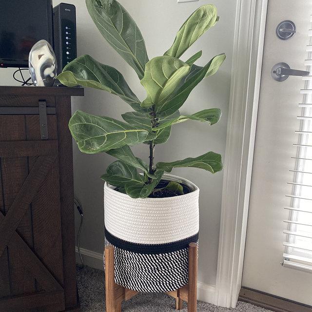 Indoor plant stand with woven plant basket for indoor and outdoor plants. Can be use to add style to living room, bedroom, office, and home. Beautiful and stylish plant basket for minimalist aesthetics