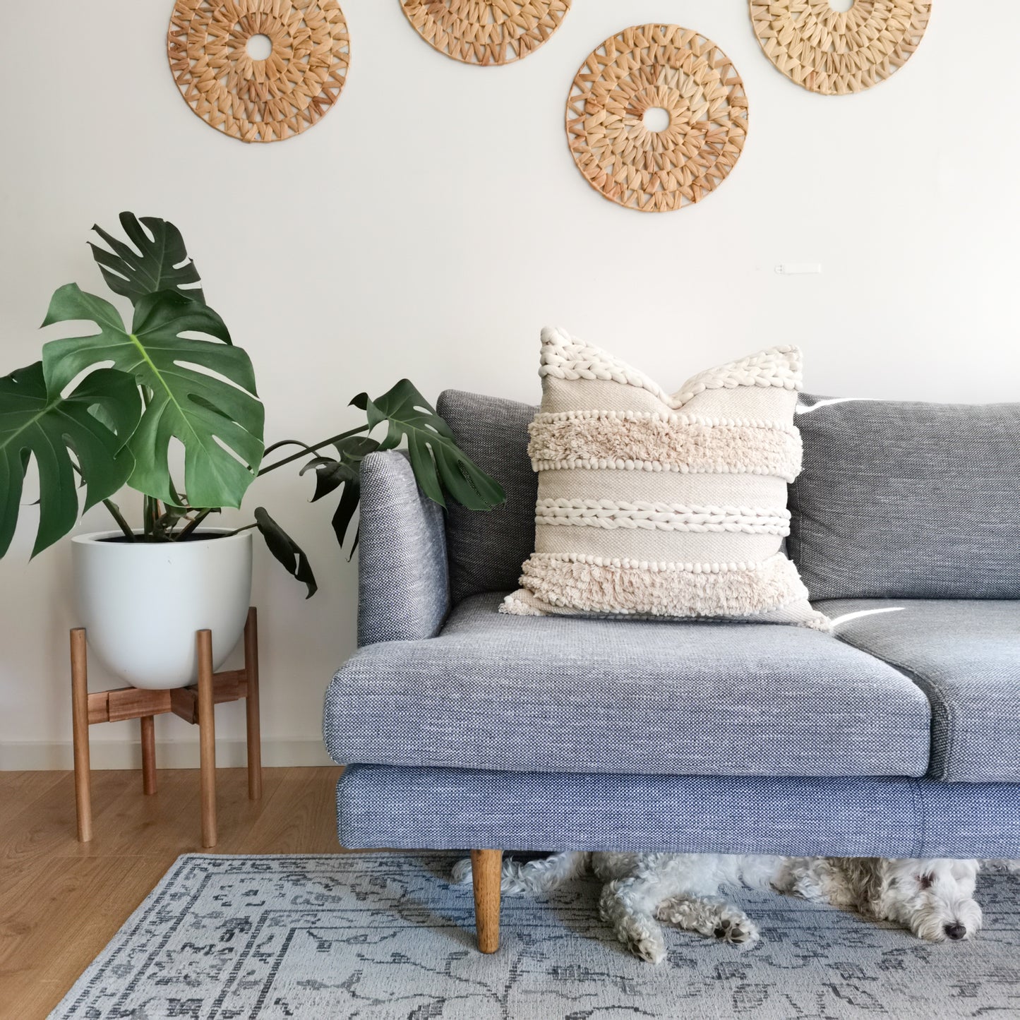 Boho living room with minimalist cushion, plant stand, and boho basket wall