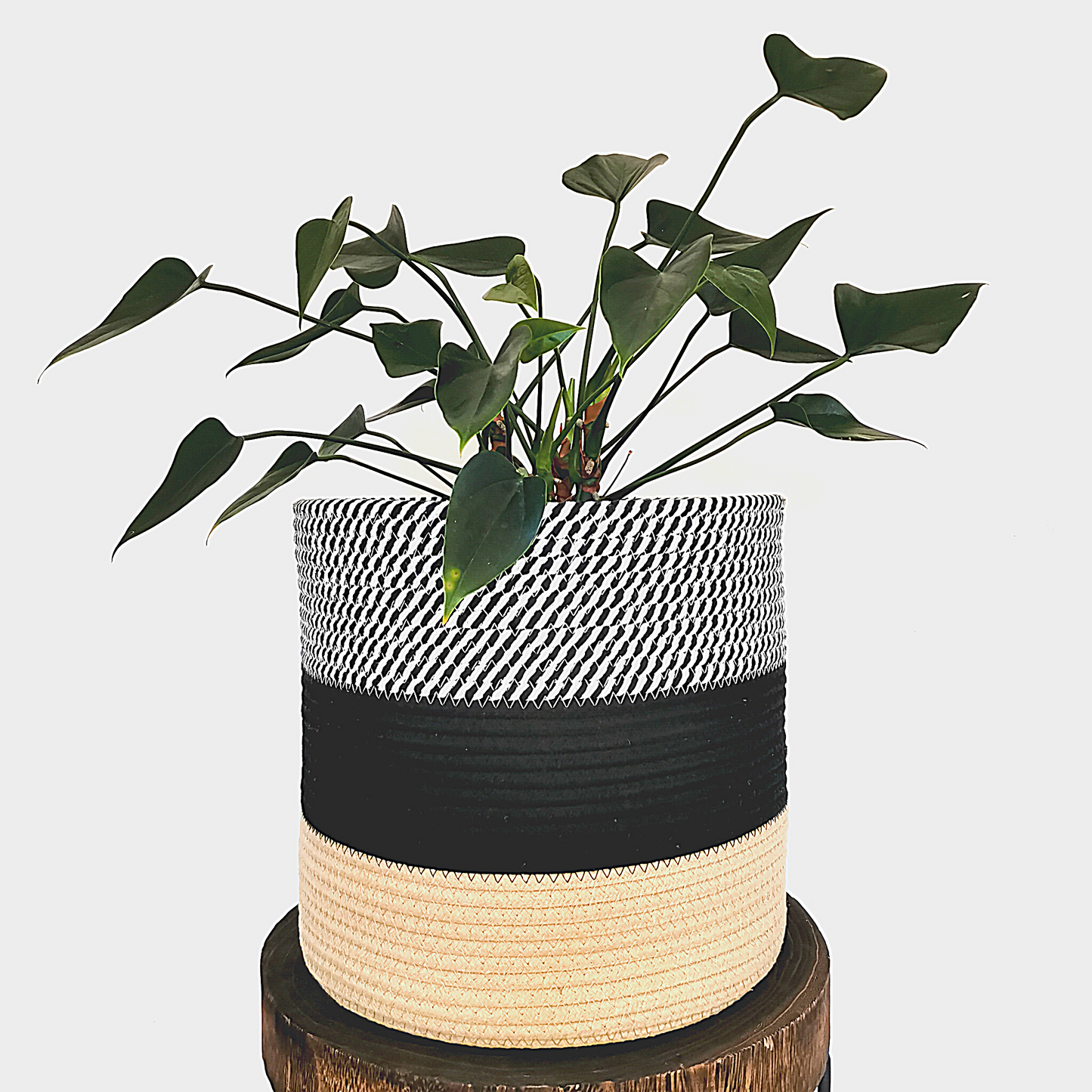 Stylish planter made from handwoven 100% thick cotton rope. Perfect for rustic, modern minimalistic home.