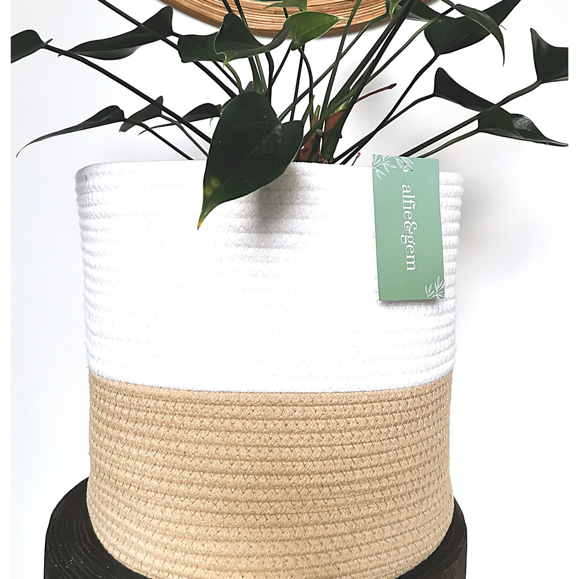 Light-colored handwoven cotton rope baskets for plant pots of different sizes.