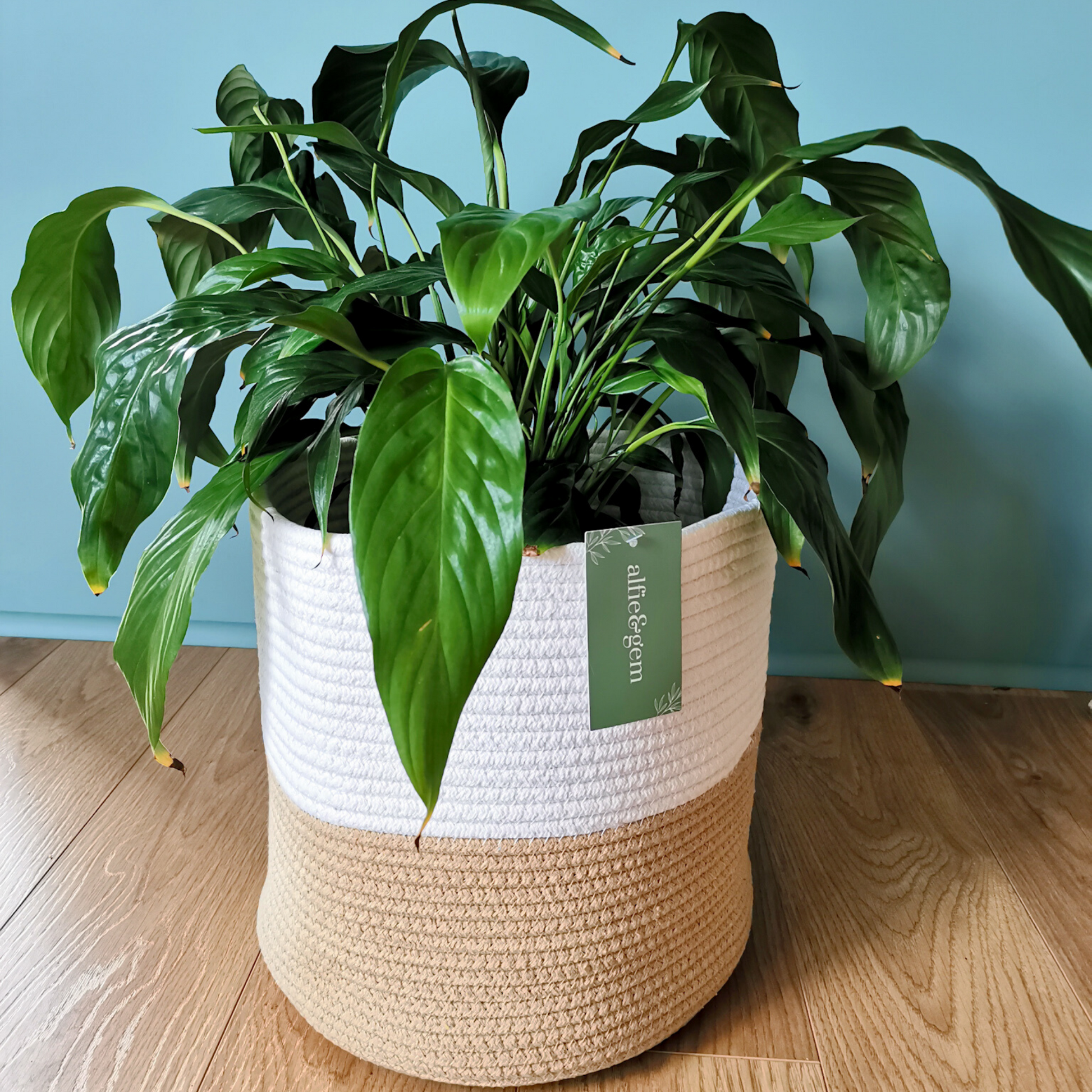 Sturdy indoor plant holder. Handwoven from 100% thick cotton rope.