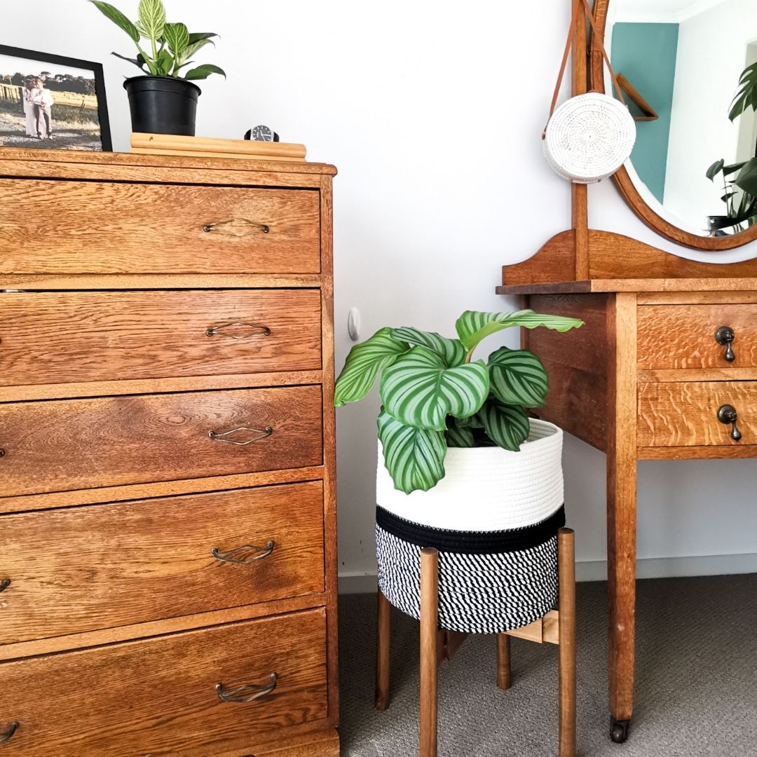 Our midcentury modern plant stand comes with a pot basket and will surely be the perfect addition to your home decor. Free US shipping, no minimum order needed.